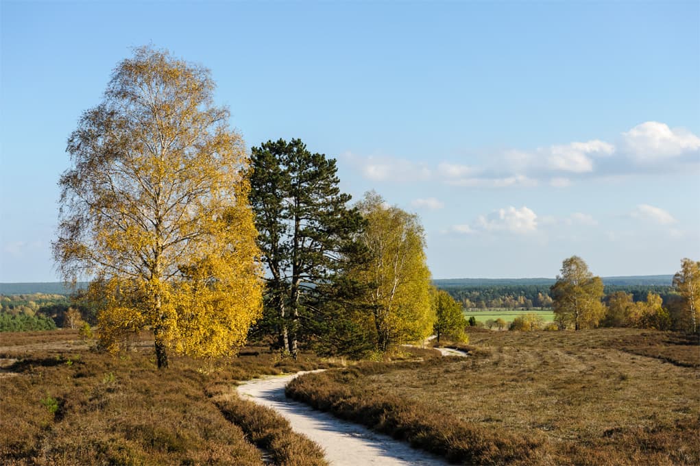 Ausblick vom Wietzer Berg Müden (Örtze) am Heidschnuckenweg