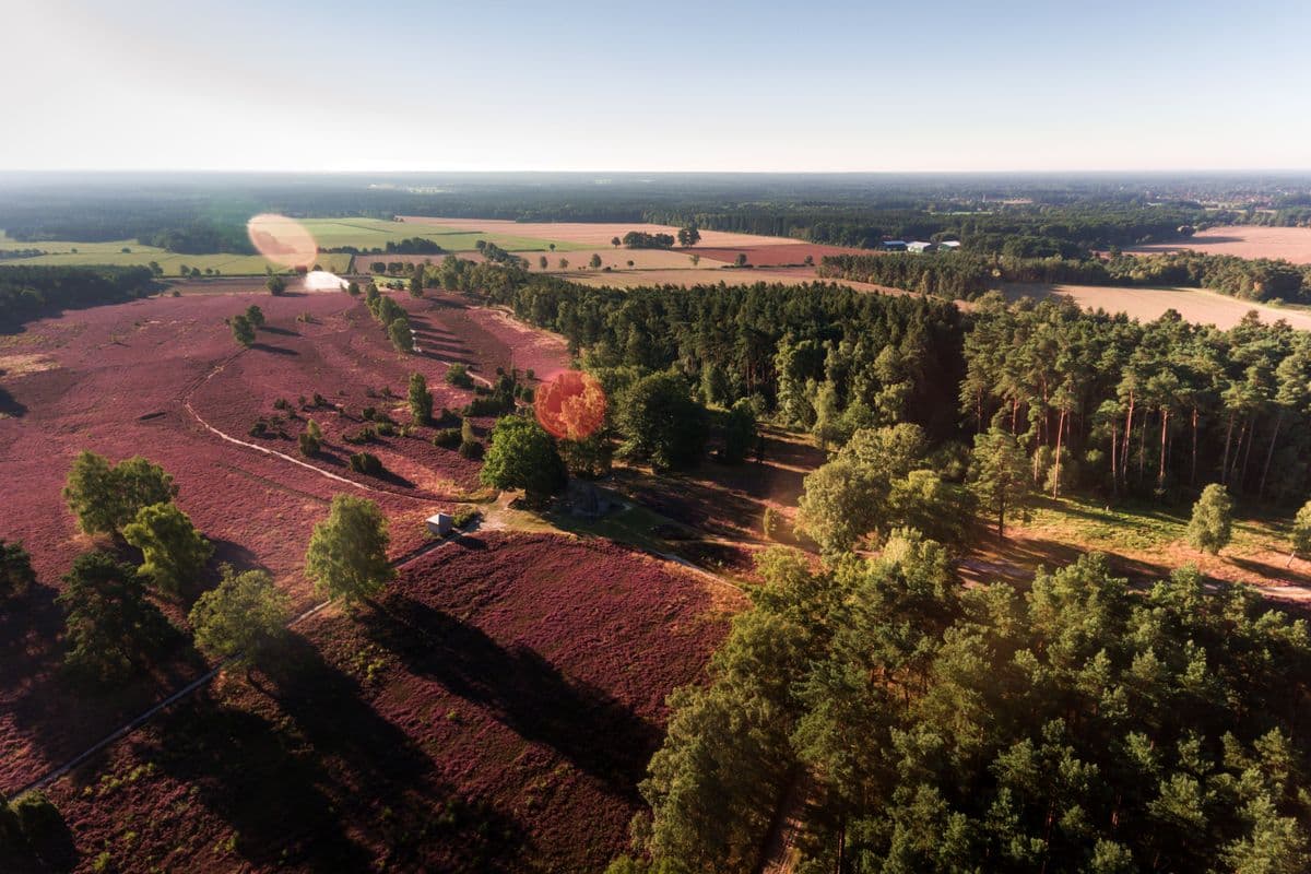 Wietzer Berg bei Müden von oben