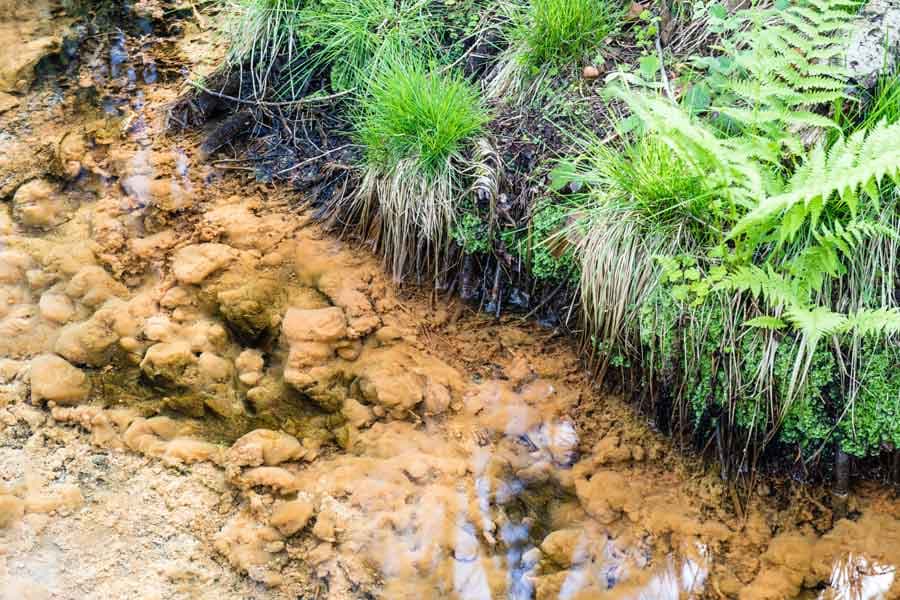 Schwindebachquelle in Soderstorf