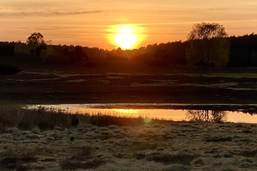 Sonnenuntergang in der Döhler Heide
