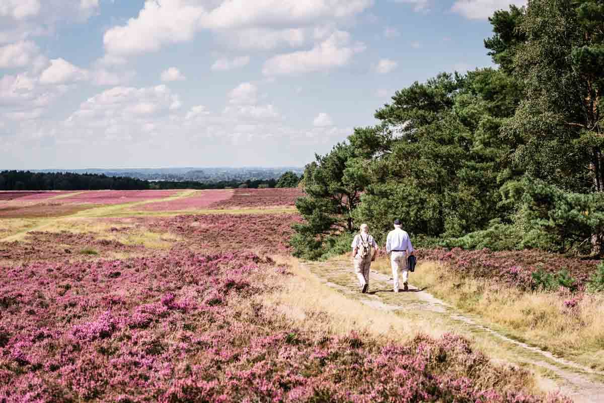 Wandern in der Fischbeker Heide