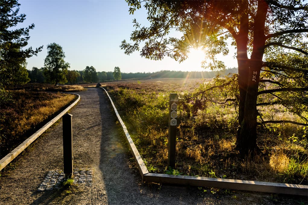 Sonnenuntergang am Angelbecksteich, Hermannsburg