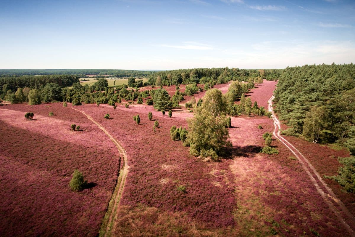 Schillohsberg, Unterluess, Lutterloh, Naturpark Suedheide