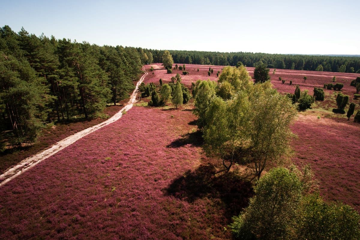 Schillohsberg, Unterluess, Lutterloh, Naturpark Suedheide