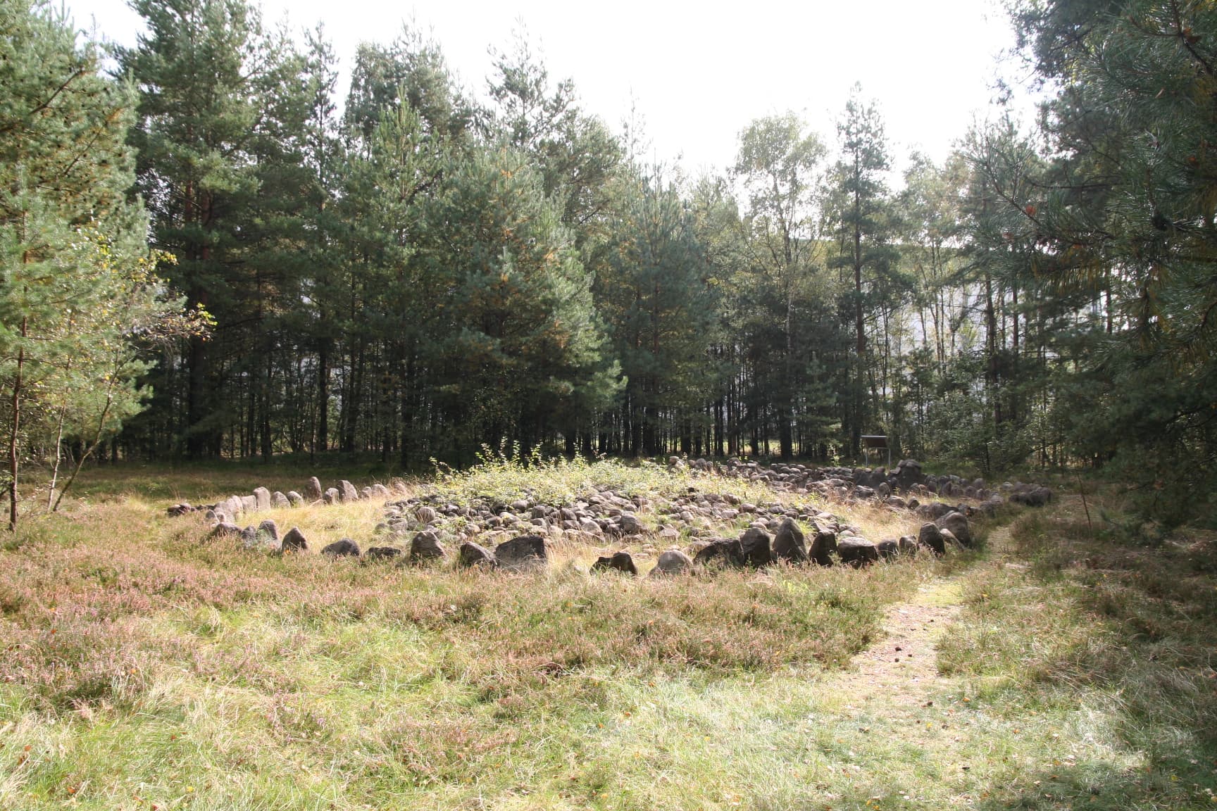 Bronzezeitliche Grabanlage Uelzen
