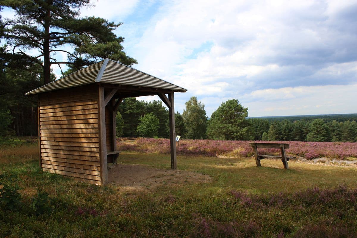 Hausselberg bei Müden (Örtze) im Naturpark Südheide