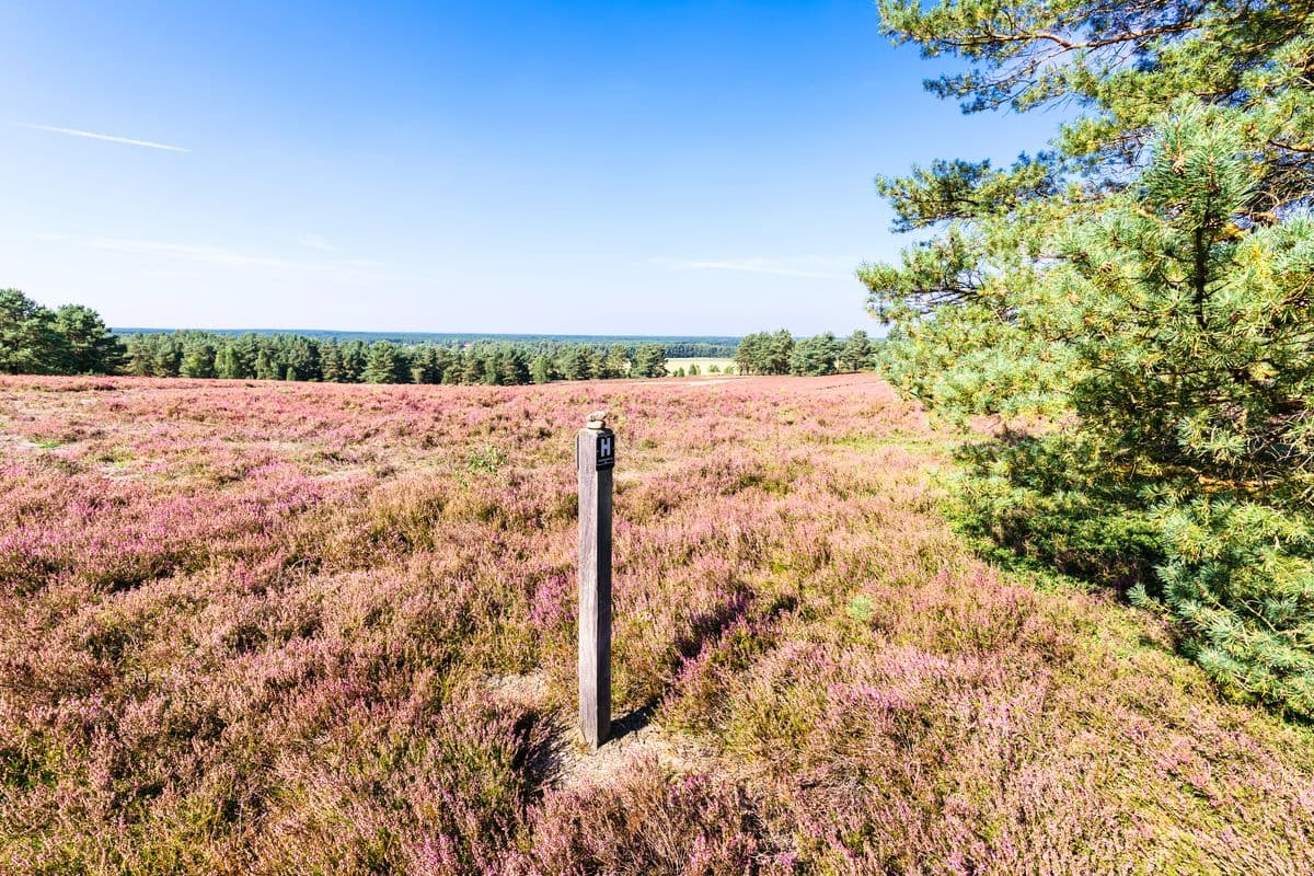 hausselberg, mueden, naturpark suedheide