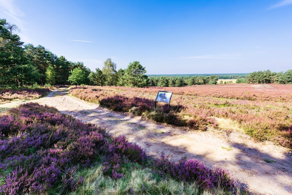 hausselberg, mueden, naturpark suedheide