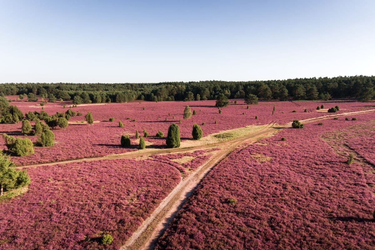 hausselberg, mueden, naturpark suedheide