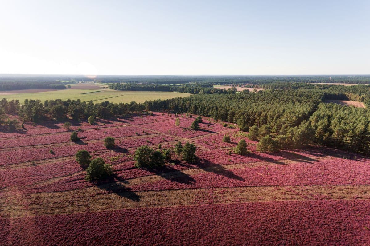hausselberg, mueden, naturpark suedheide