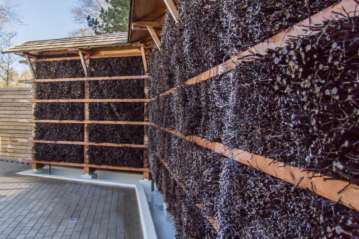 Gradierwerk im Außenbereich Therme Bad Bevensen