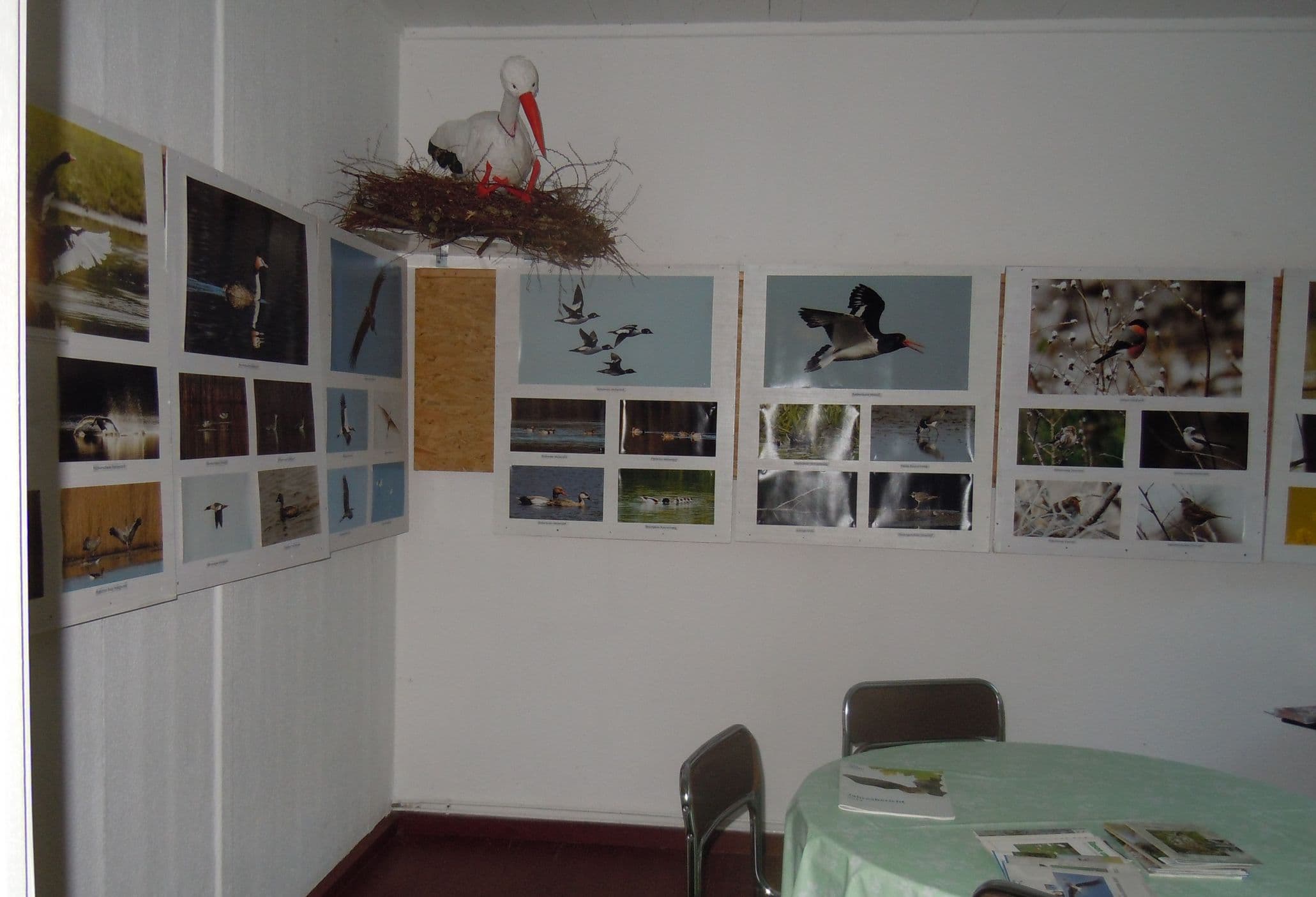 Verschiedene Sonderausstellungen zu unterschiedlichen Themen werden hier den Sommer über angeboten.