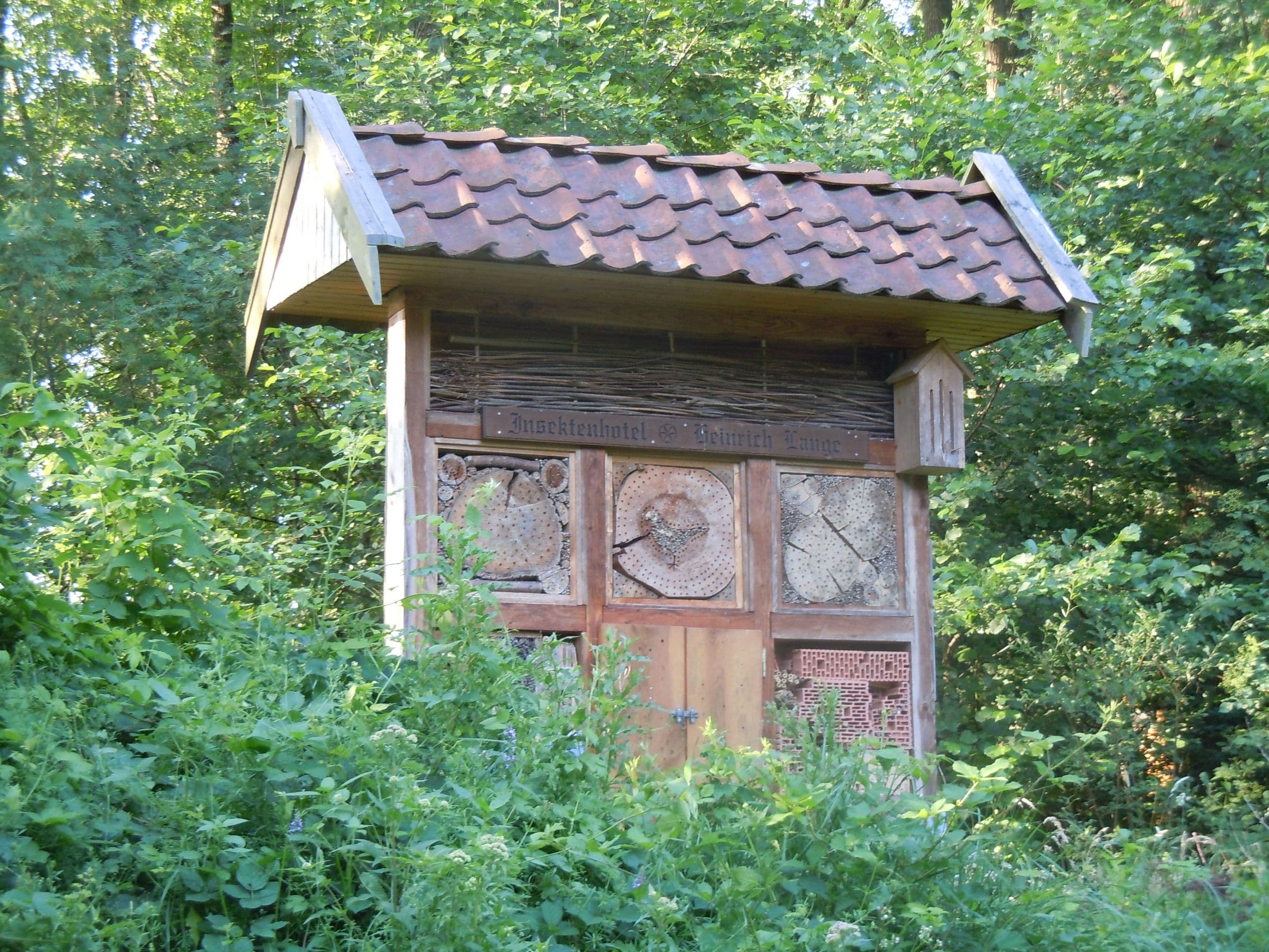 An der Sandkuhle nebenan lädt ein Insektenhotel Wildbienen und andere Insekten zum Nisten ein.