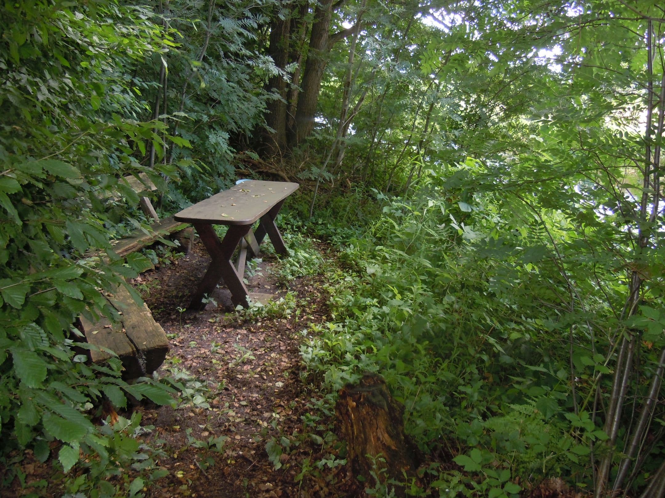 Hier kann der Blick in Ruhe über das Örtzetal schweifen.