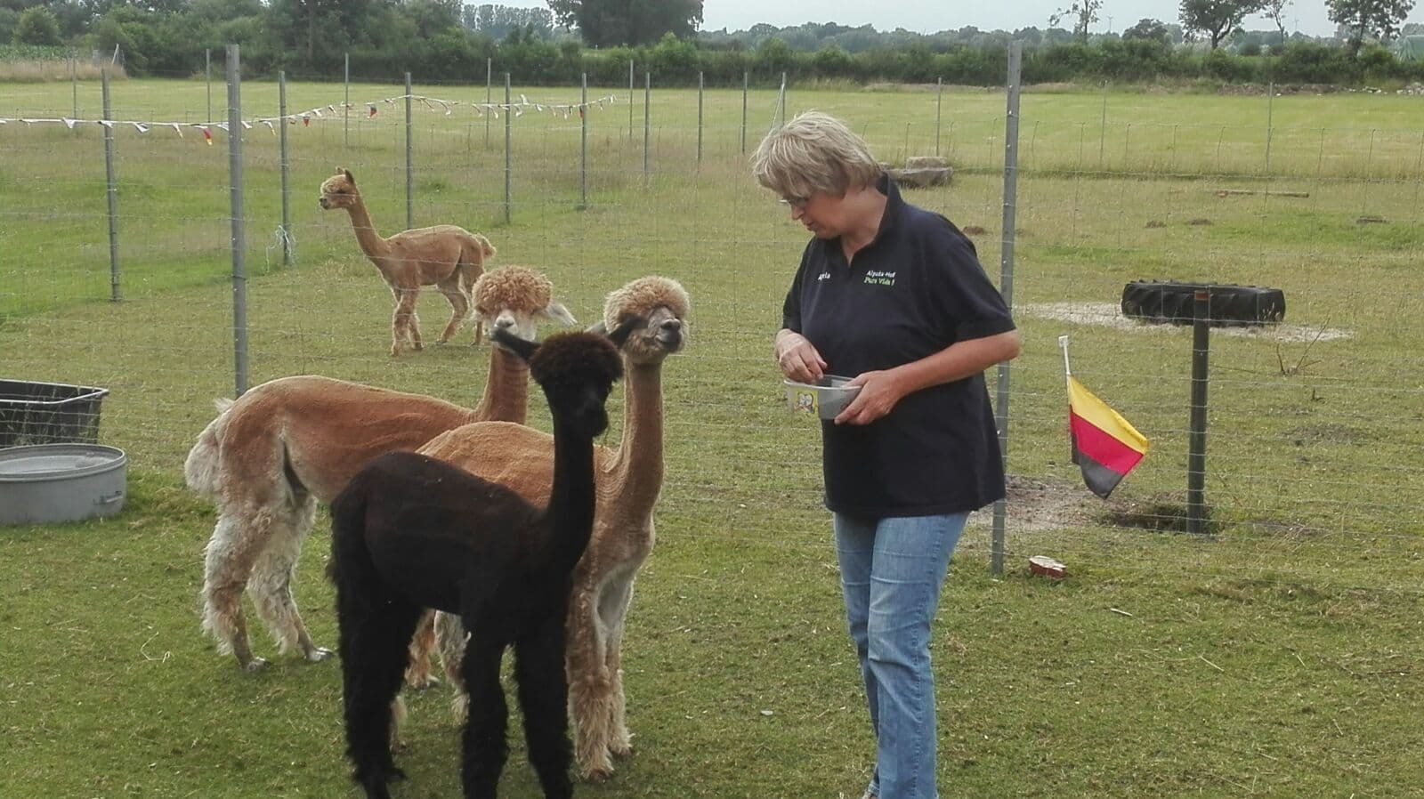 Die Tiere sind sehr genügsam und friedlich