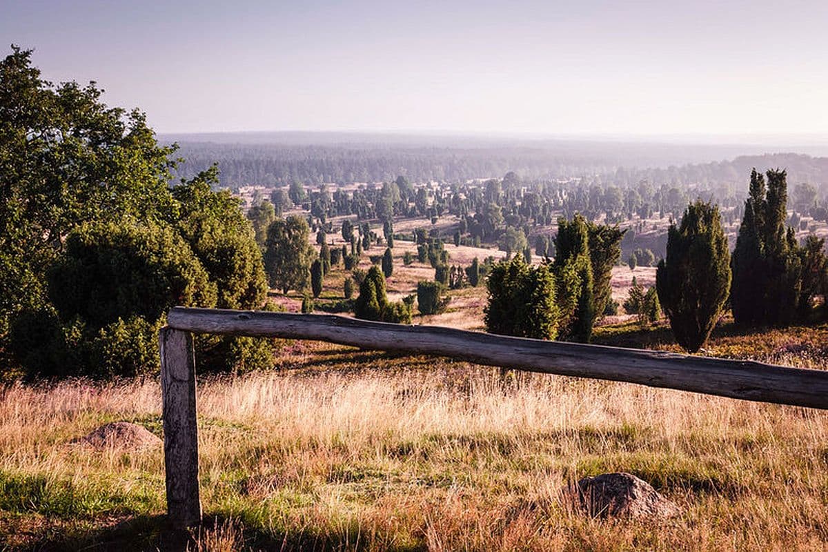 ausbilck vom wilseder berg