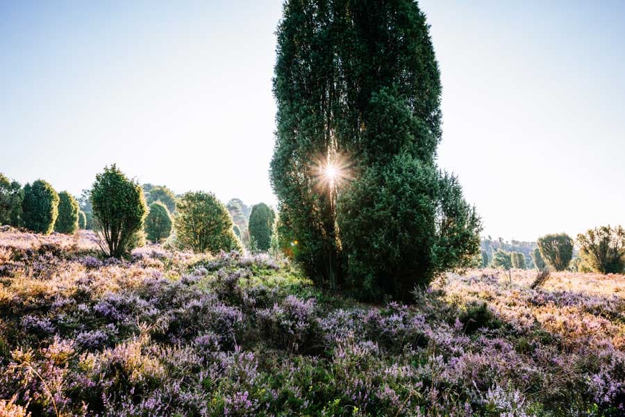 Steingrund am Morgen beim Sonnenaufgang