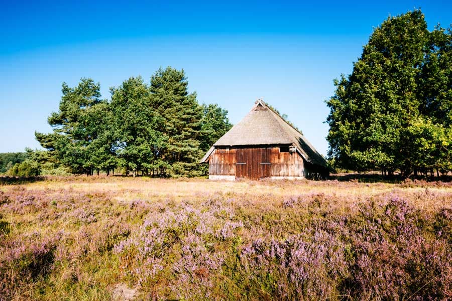 Steingrund Schafstall, typisch für die Lüneburger Heide