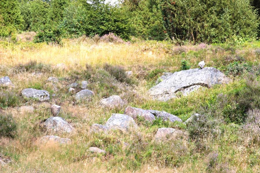 Der Steingrund ist übersäht mit Findlingen