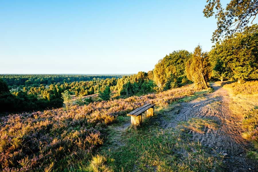 Bank am Steingrund in der Lüneburger Heide