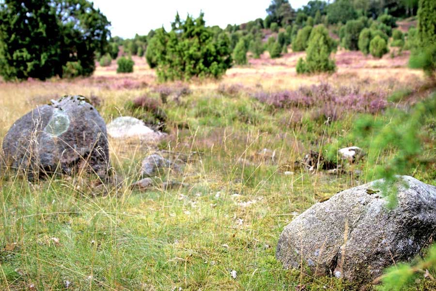 Findlinge im Steingrund machen das Bild aus