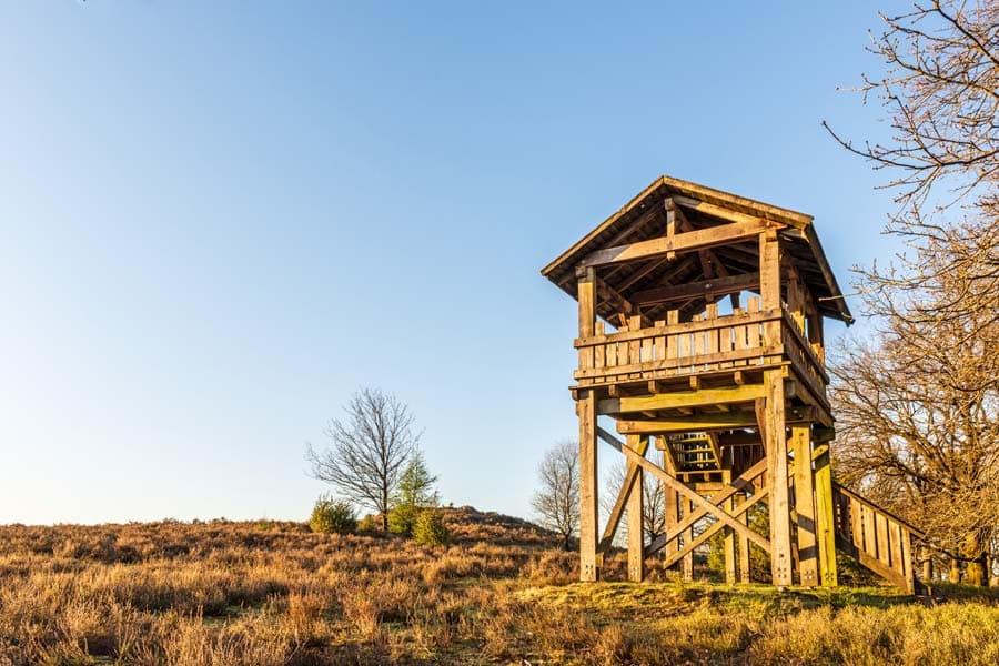 Fuerstengrab Lueneburger Heide