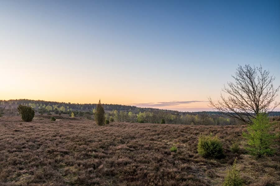 Fürstengrab Naturschutzgebiet Lüneburger Heide