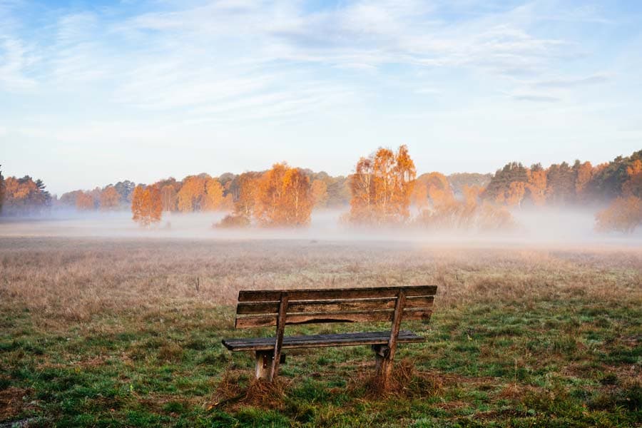 Niederhaverbeck Lüneburger Heide