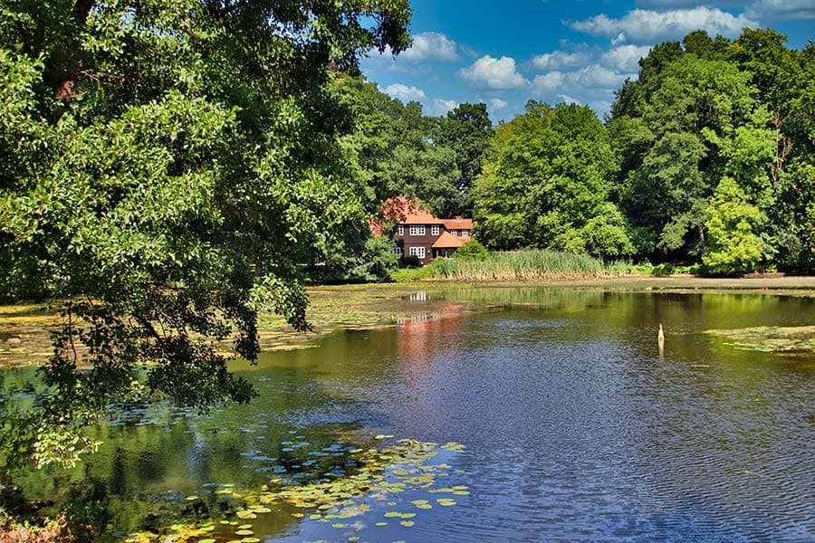Schneverdingen Wassermühle Lünzen Mühlteich