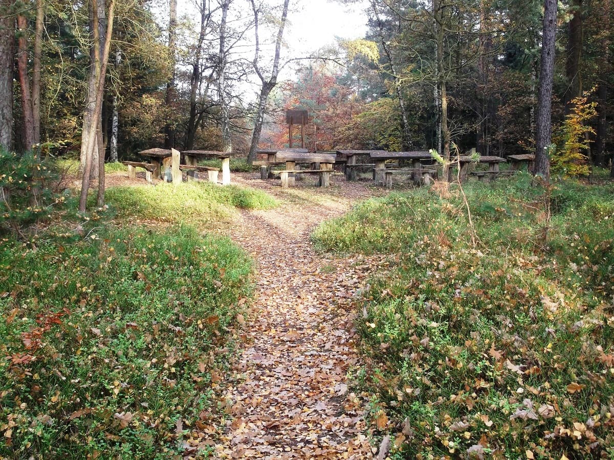 Wald- und Kulturpfad Hanstedt