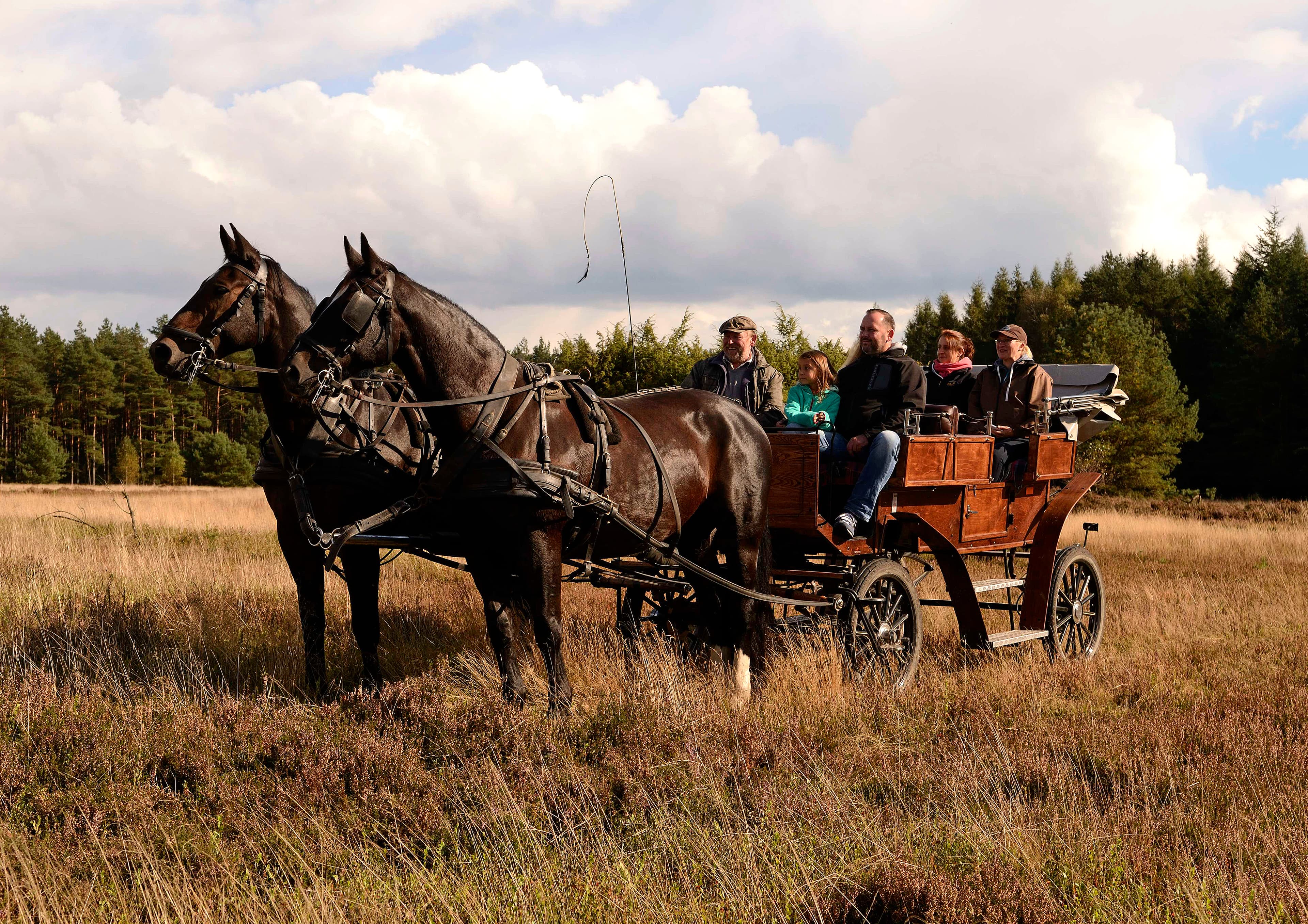 auf der Heidefläche