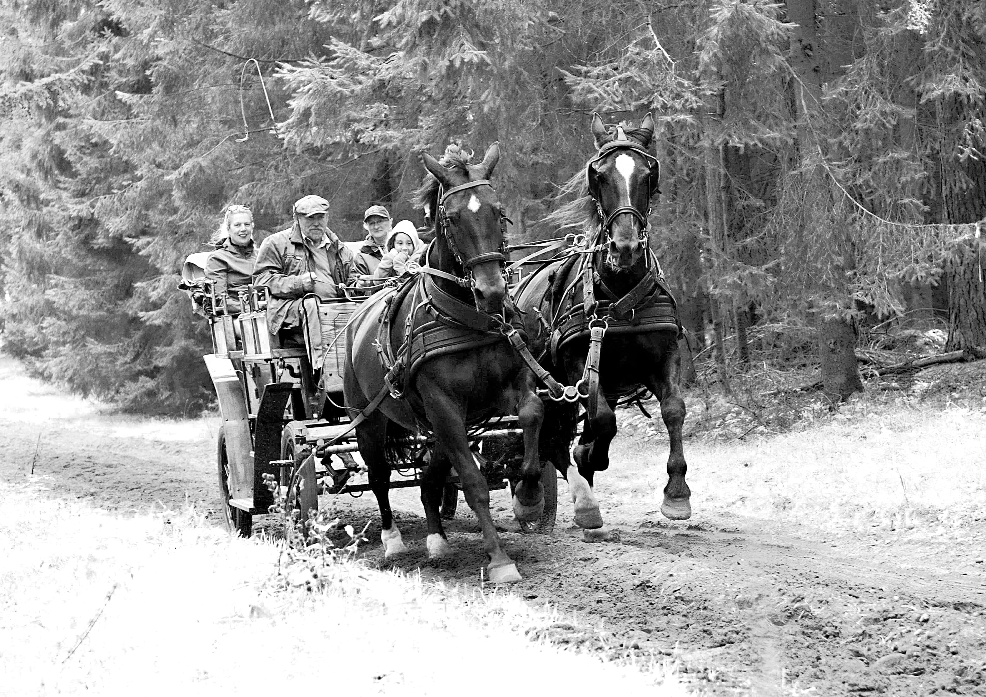 auf der alten Salzstraße