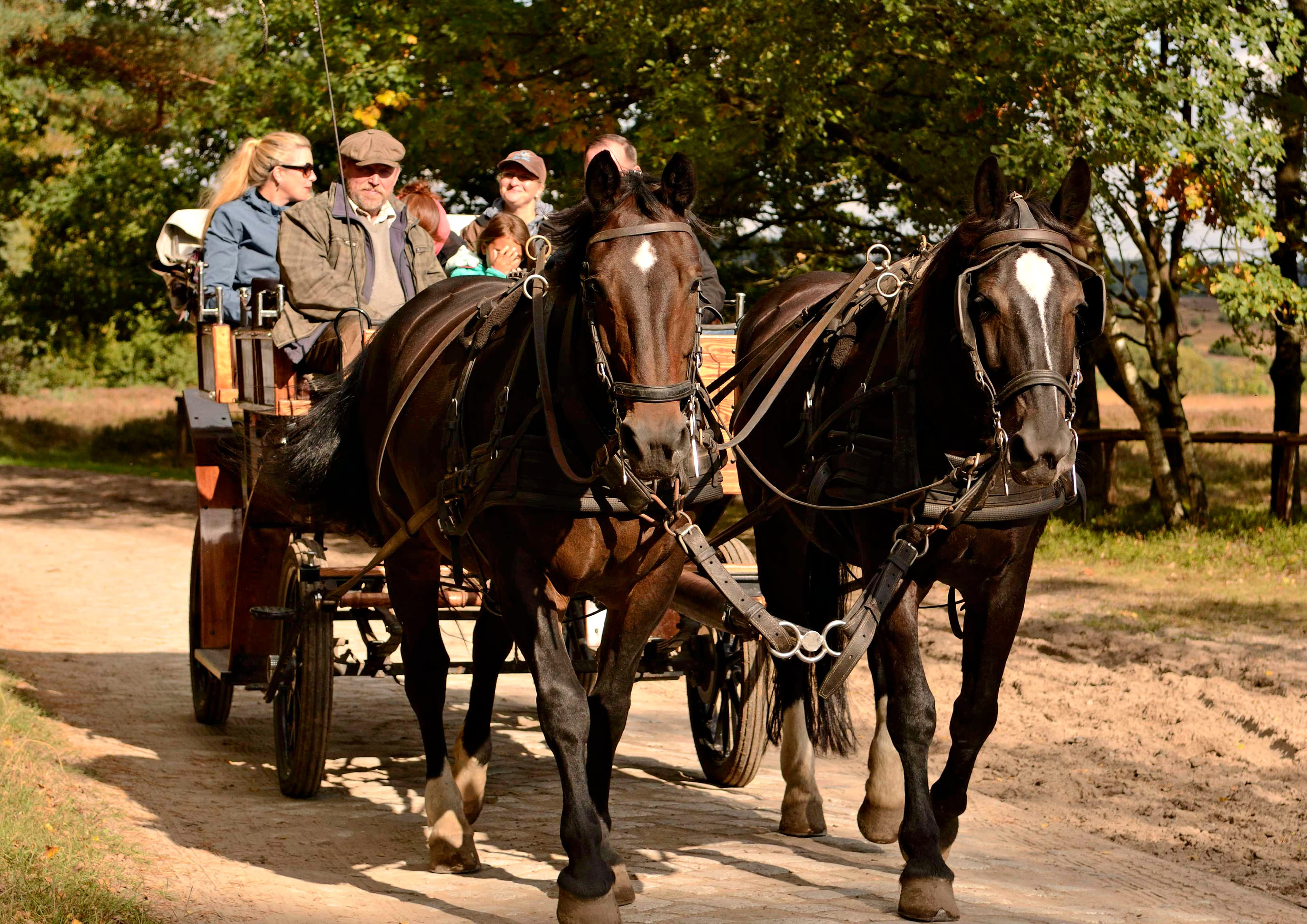 auf dem Weg nach Wilsede