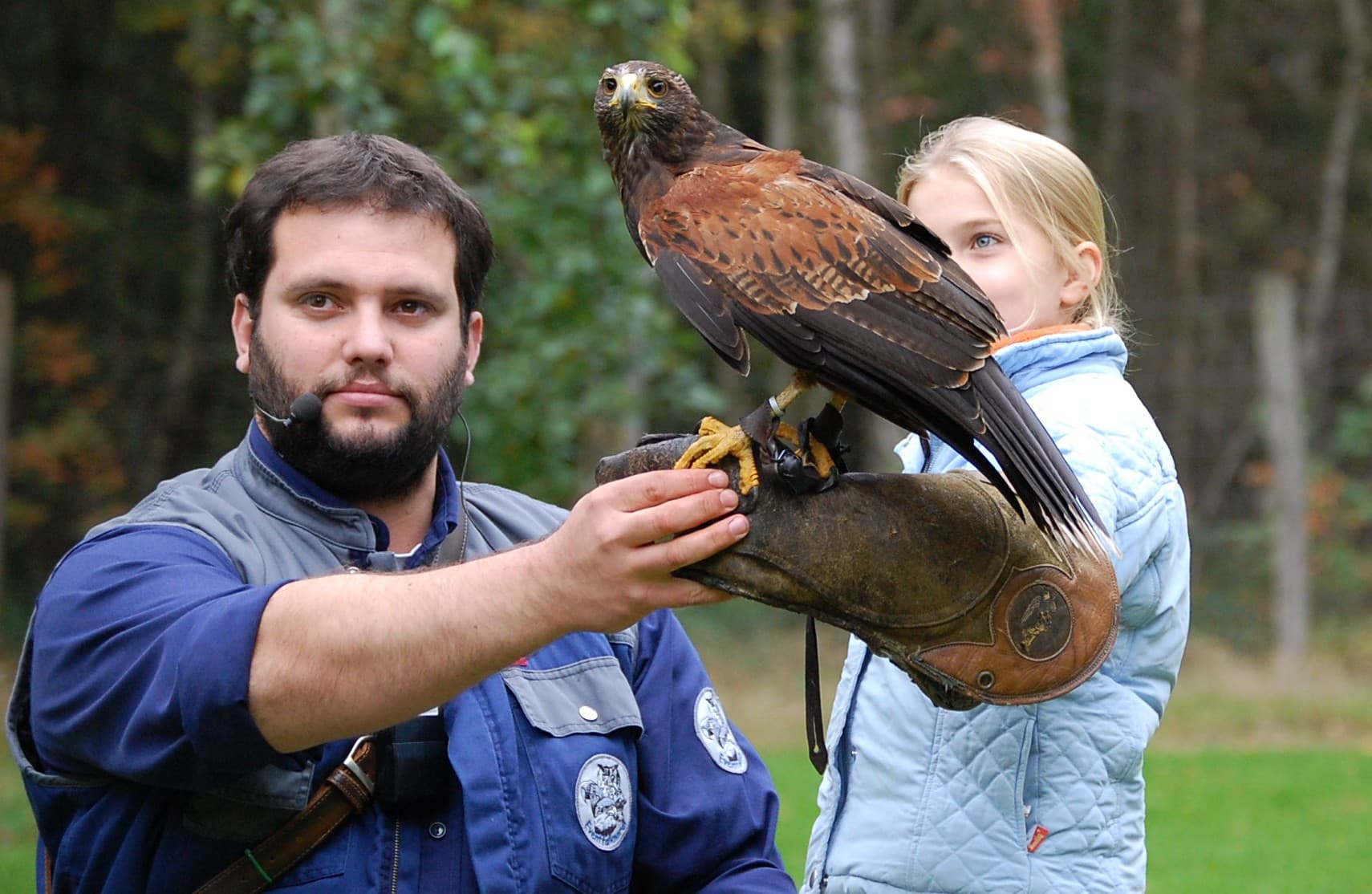 Einmal selbst in den Handschuh schlüpfen - bei jeder Flugschau wählt das Team einen Zuschauer aus, der einen Wüstenbussard starten darf. Ein unvergessliches Erlebnis!