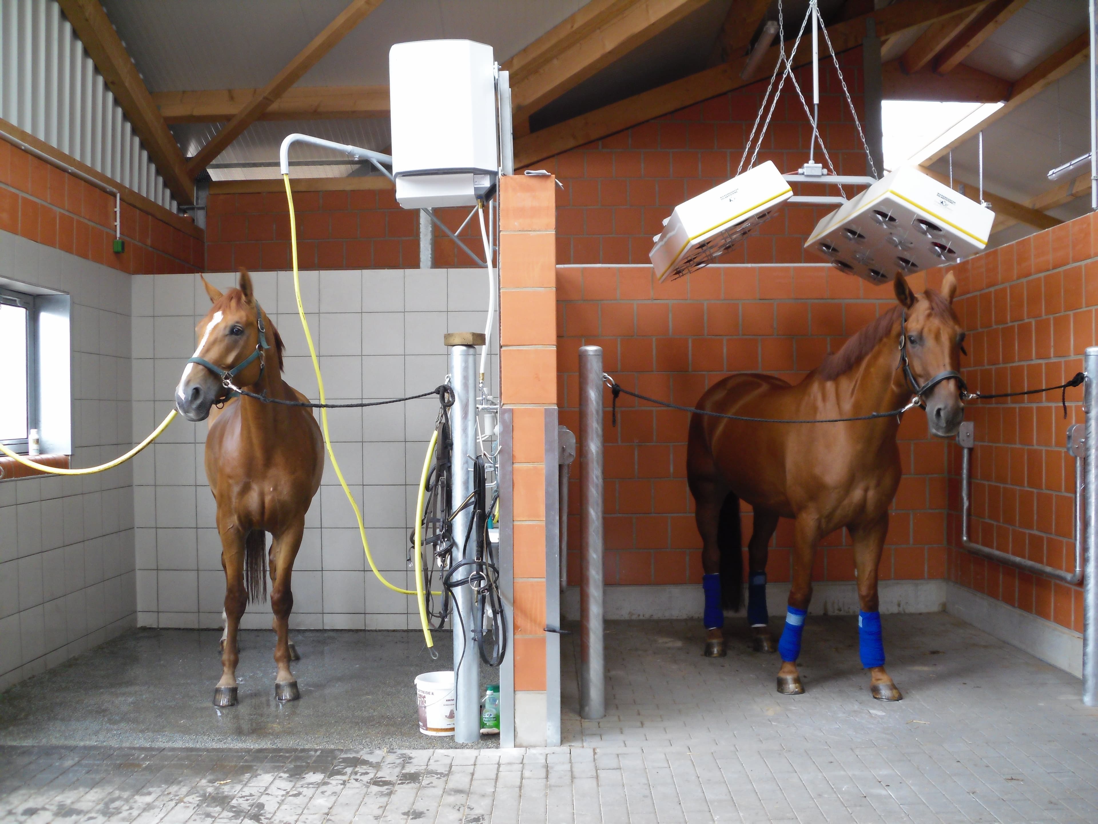 Ausbildungszentrum Luhmuehlen Lueneburger Heide