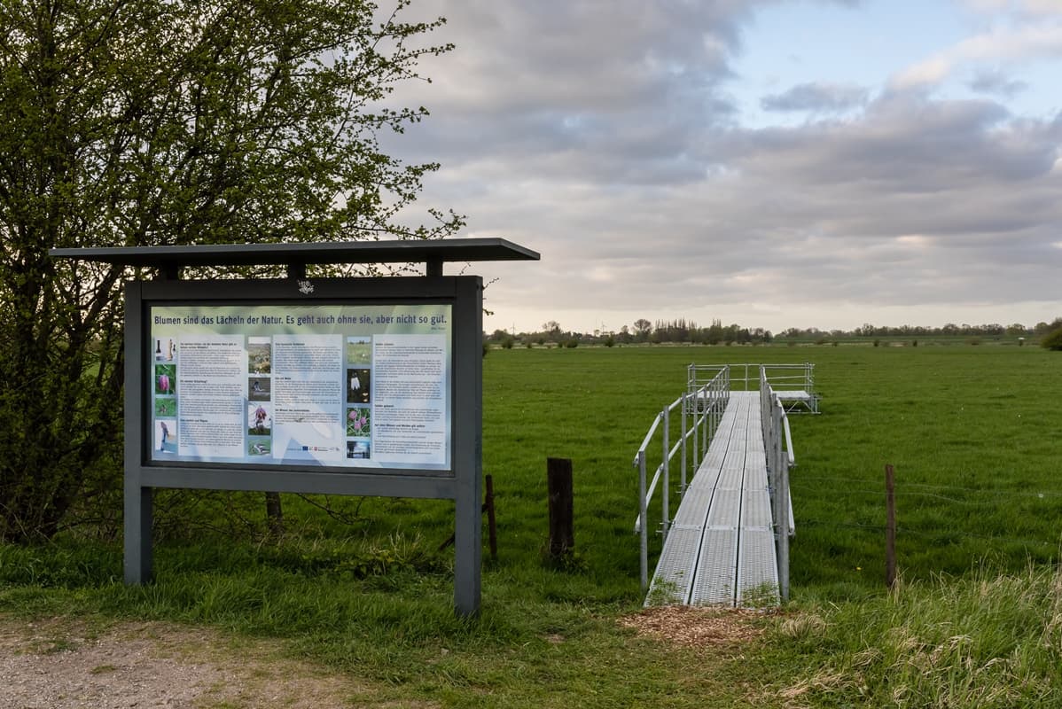 Seeveniederung Seeve Fluss Seevetal Lüneburger Heide Naturschutzgebiet Schachbrettblume