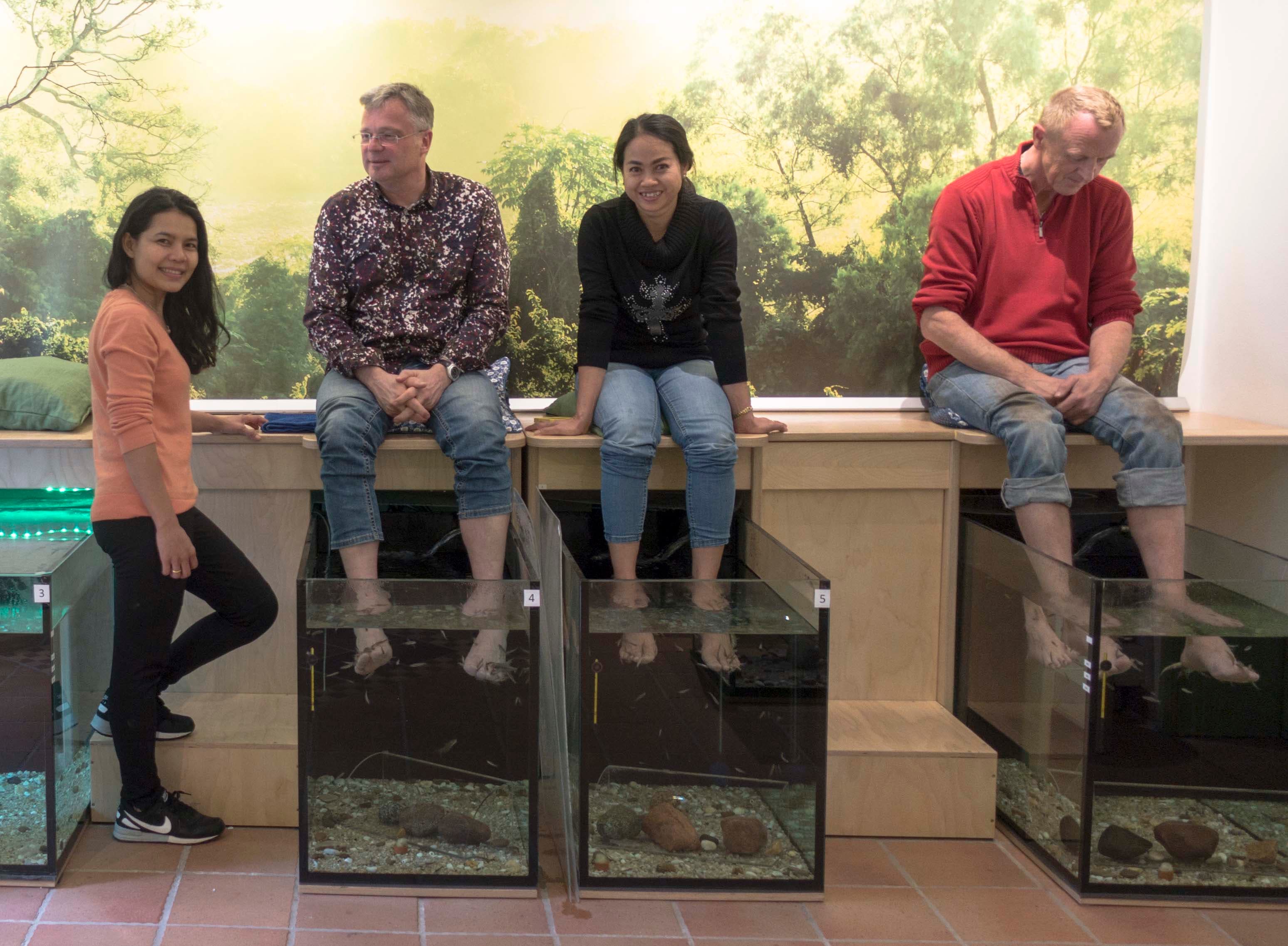 Gerne können Sie die Knabberfische auch als Gruppe besuchen.