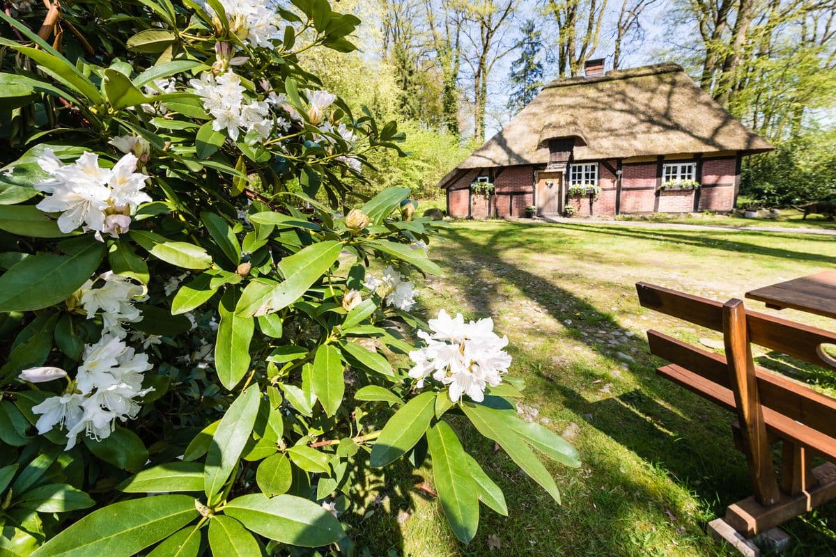 das hexenhaus in wesel ist ein schönes ausflugsziel