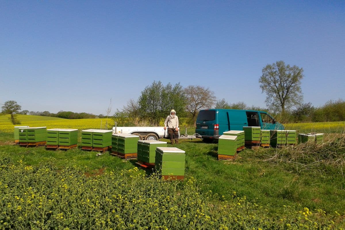 imkerei voelker, hermannsburg, suedheide, lueneburger heide, landkreis celle, heidehonig