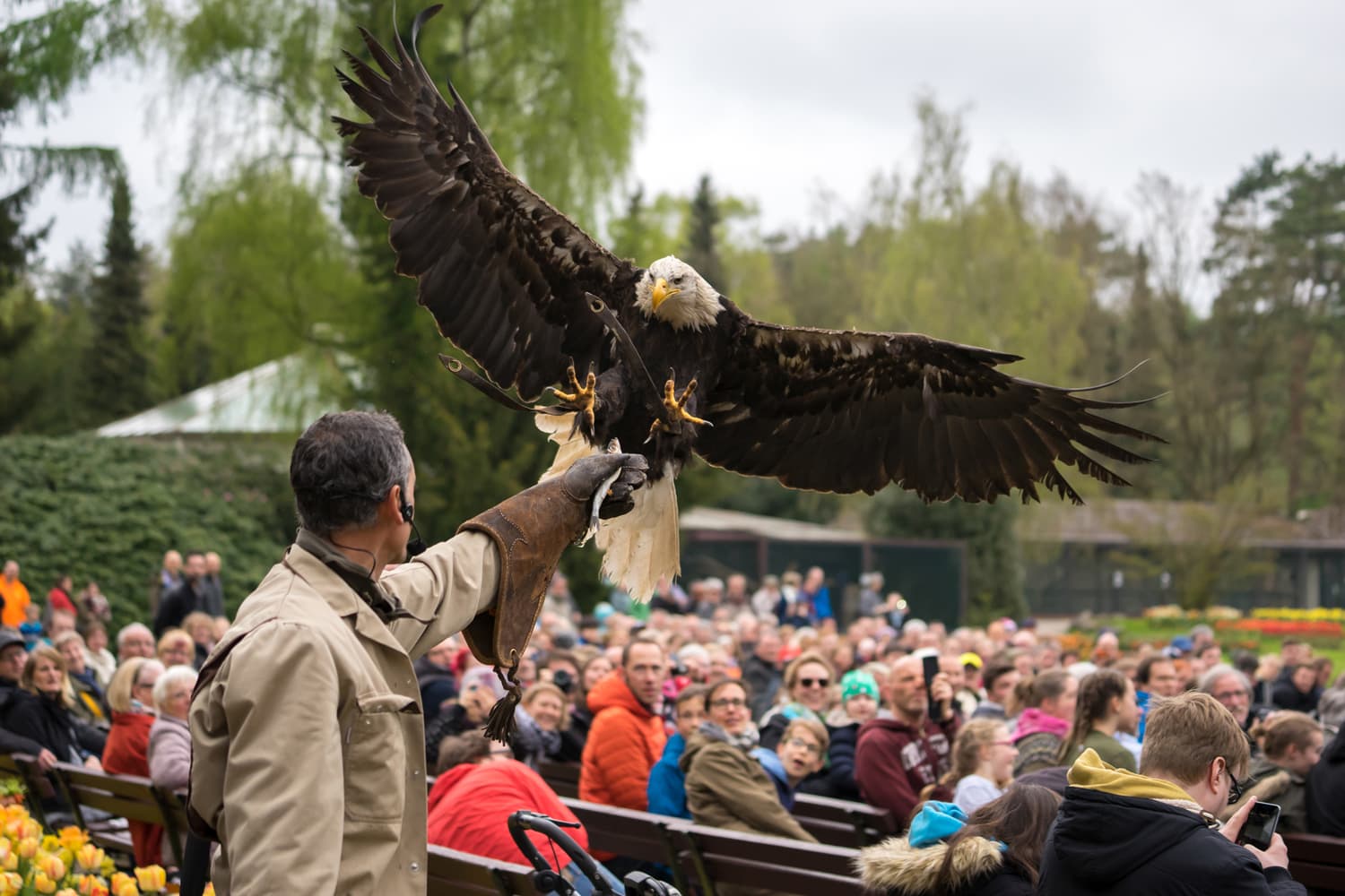 Tiertrainer German Alonso mit "Lady"