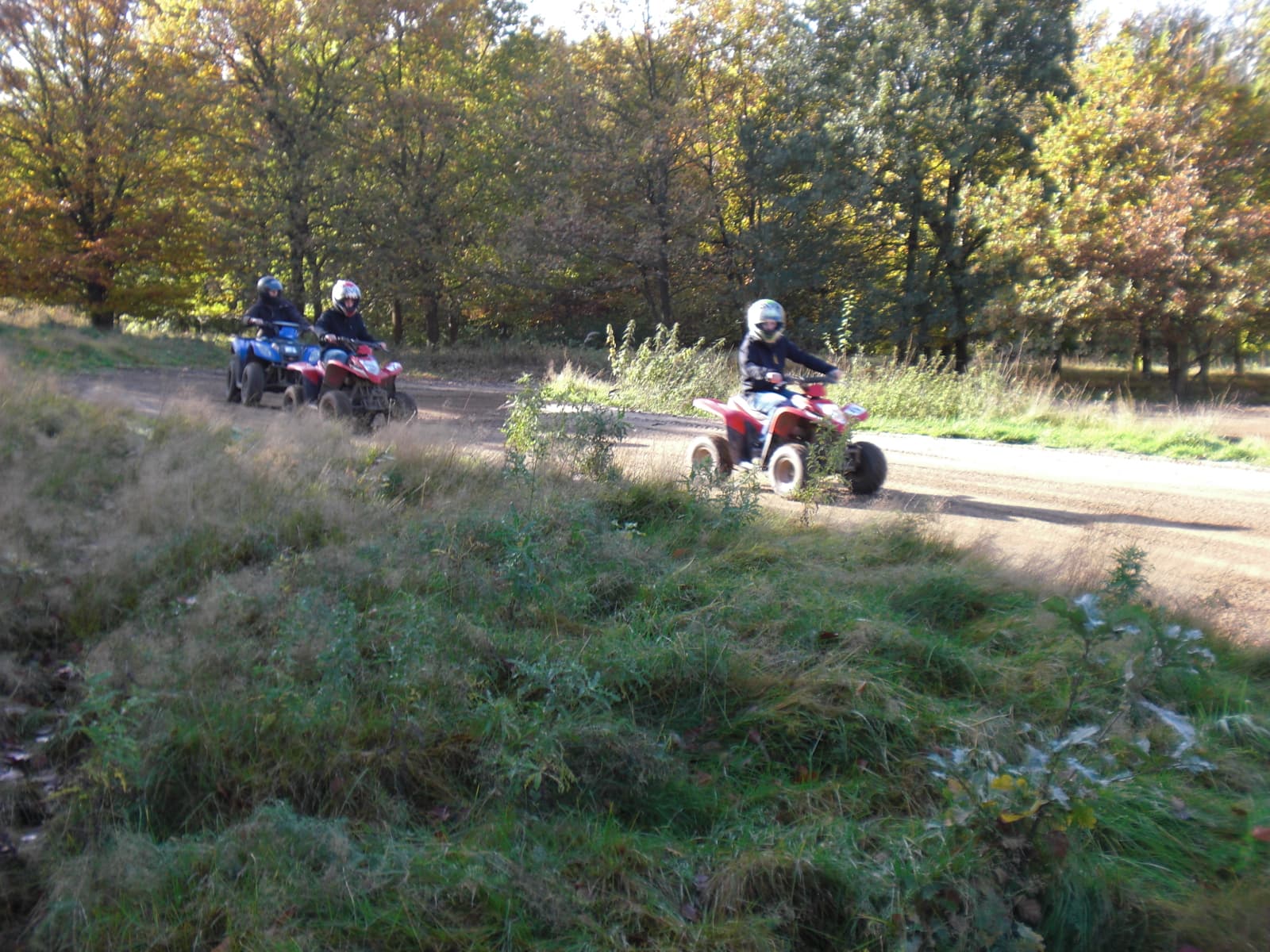 Herlicher Herbsttag!