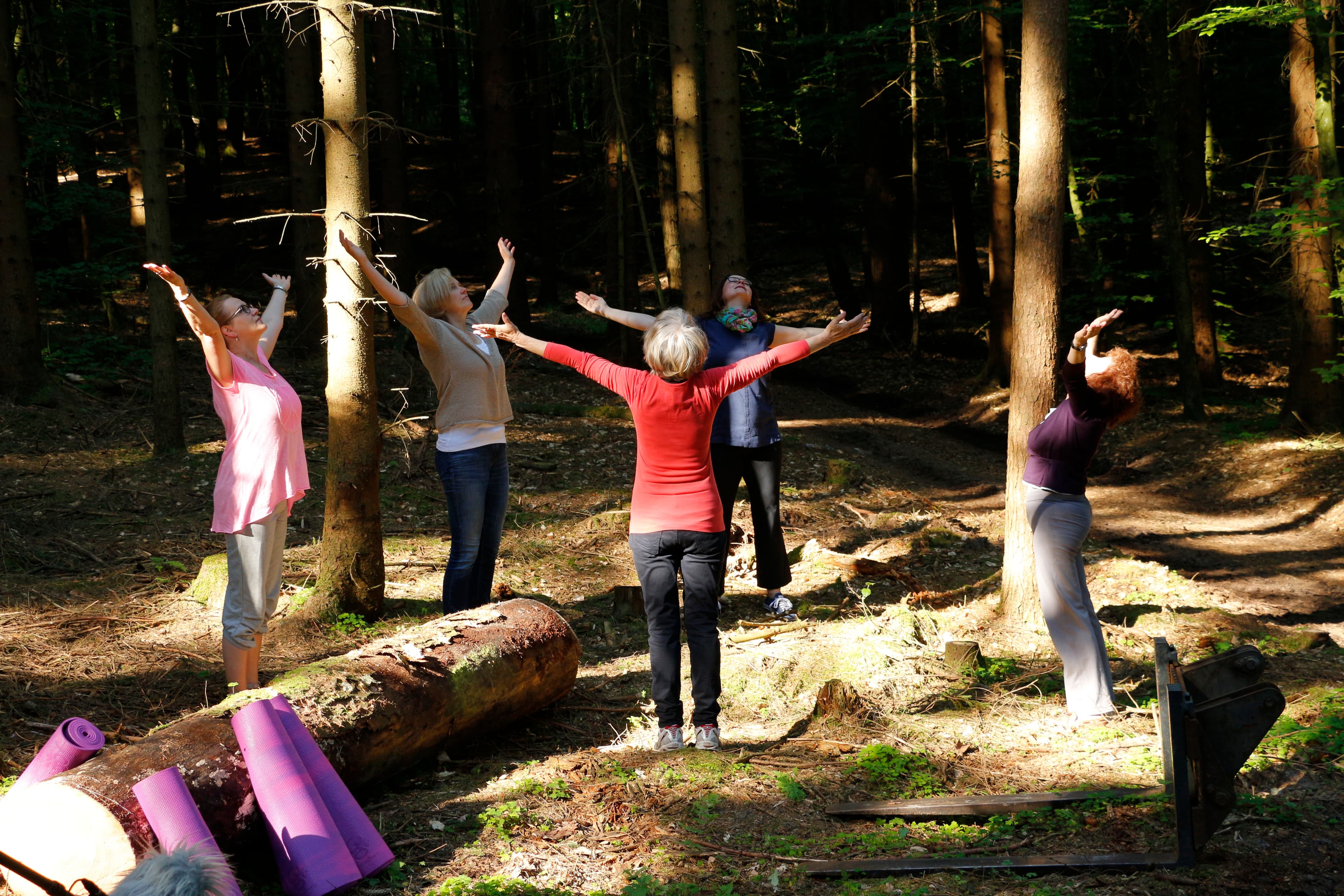 Station im Yogawald Egestorf