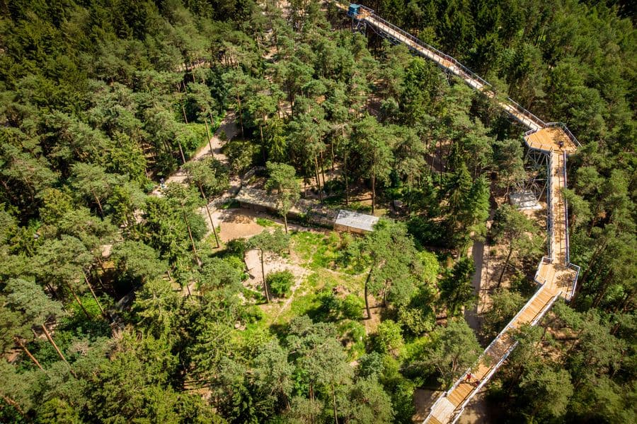 Heide Himmel Baumwipfelpfad mit Weitblick über die HeideHeide Himmel treetop walk with far-reaching views over the heathHeide Himmel trætopvandring med vidtrækkende udsigt over hedenHeide Himmel boomkroonwandeling met verreikend uitzicht over de heide