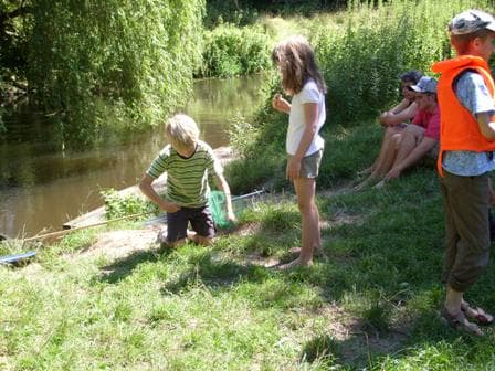 Zur Bestimmung werden einige Larven gefangen.