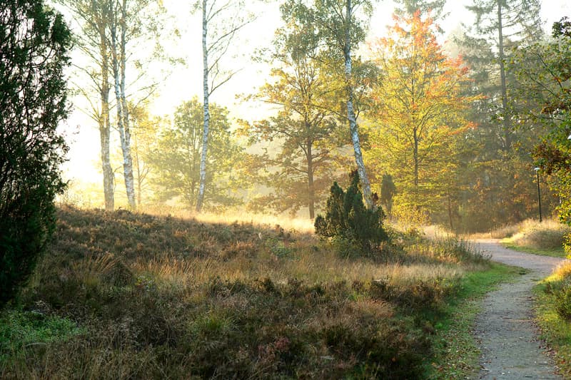 biohotel spöktal bispingen