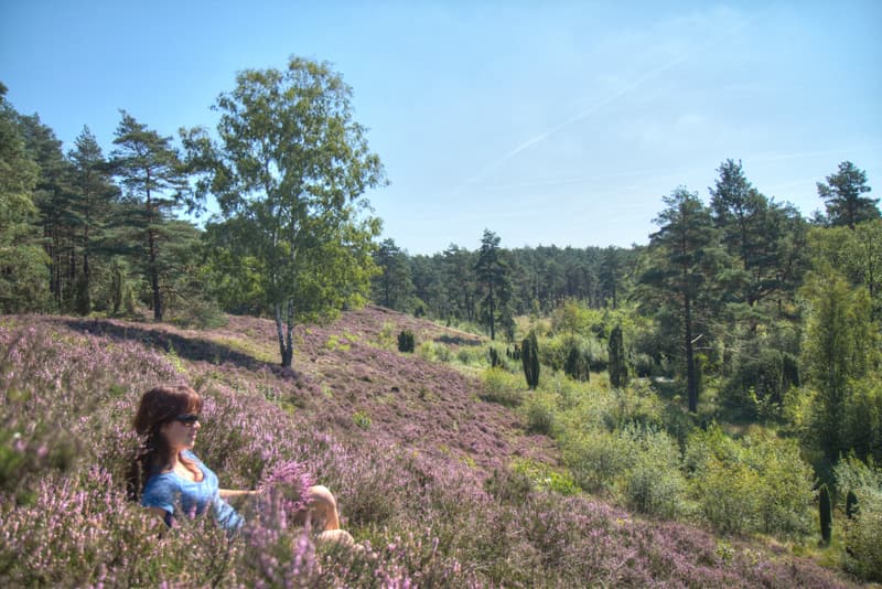 biohotel spöktal bispingen