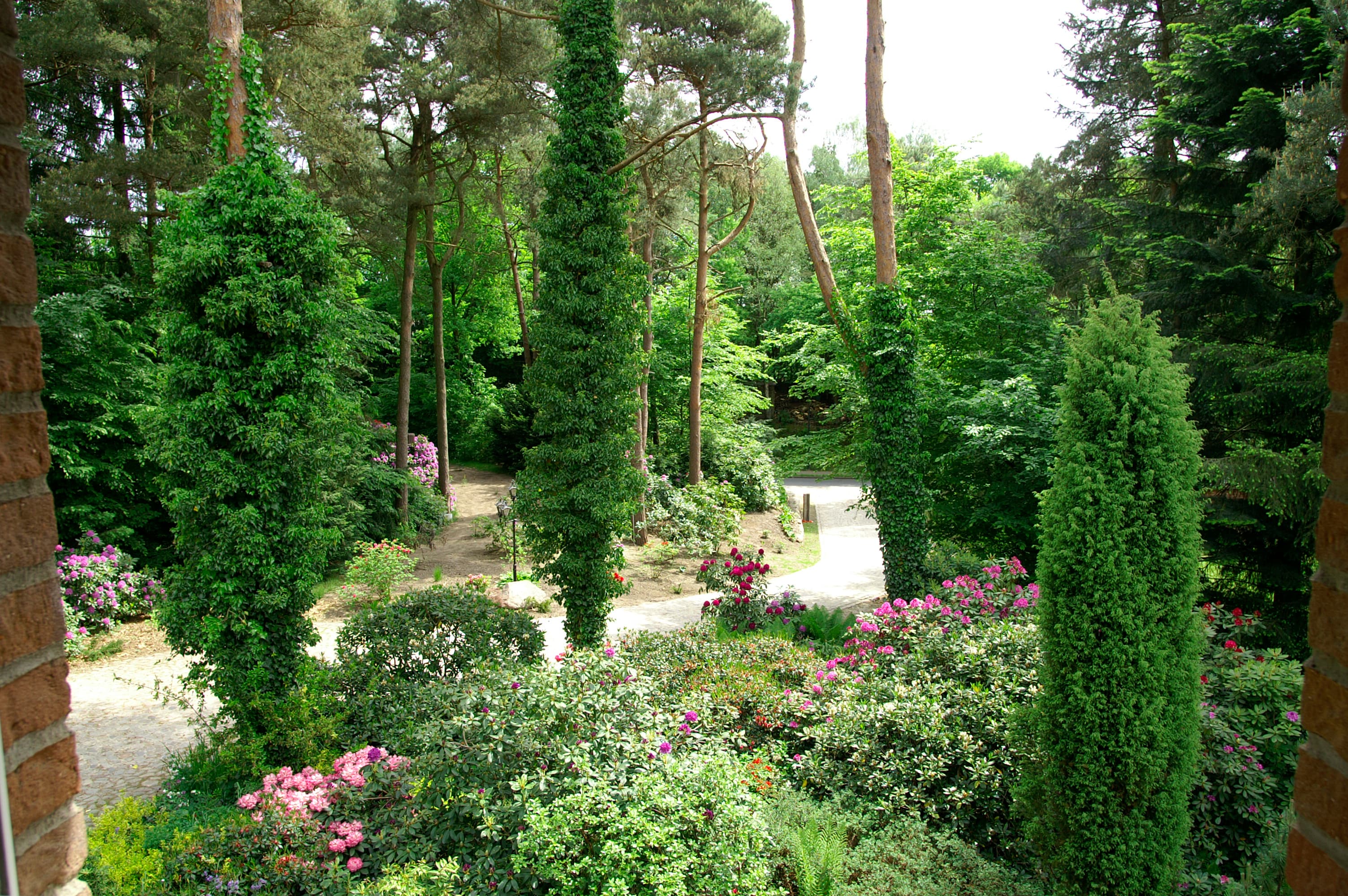 Ferienwohnung Kiefernblick