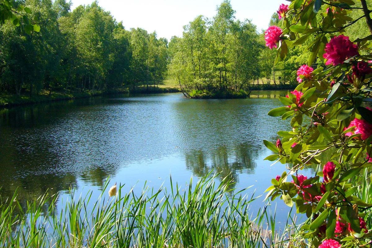Neben dem Hotel Heide Kröpke liegt ein kleiner See