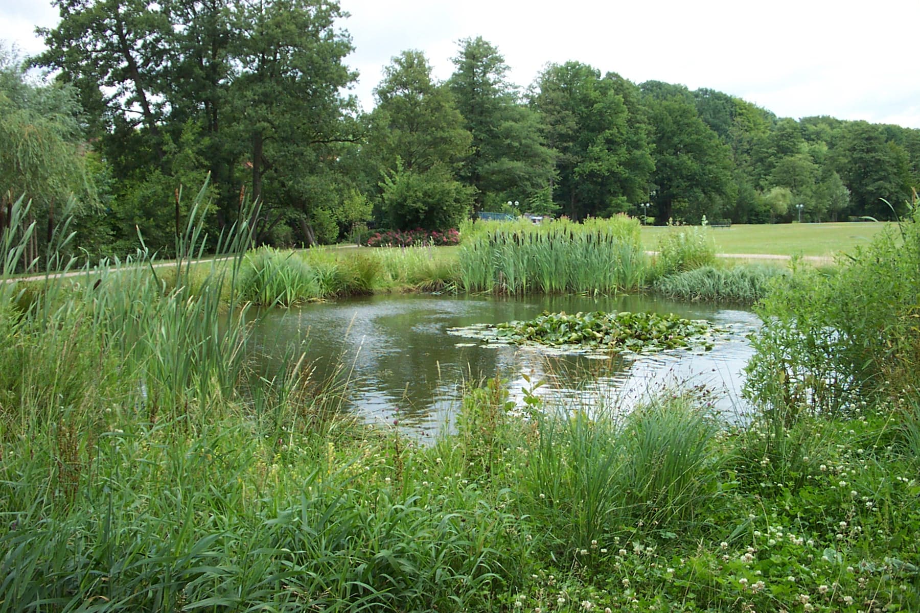 Ferienwohnung Kurparkblick, Wohnung "Sorgenfrei"***