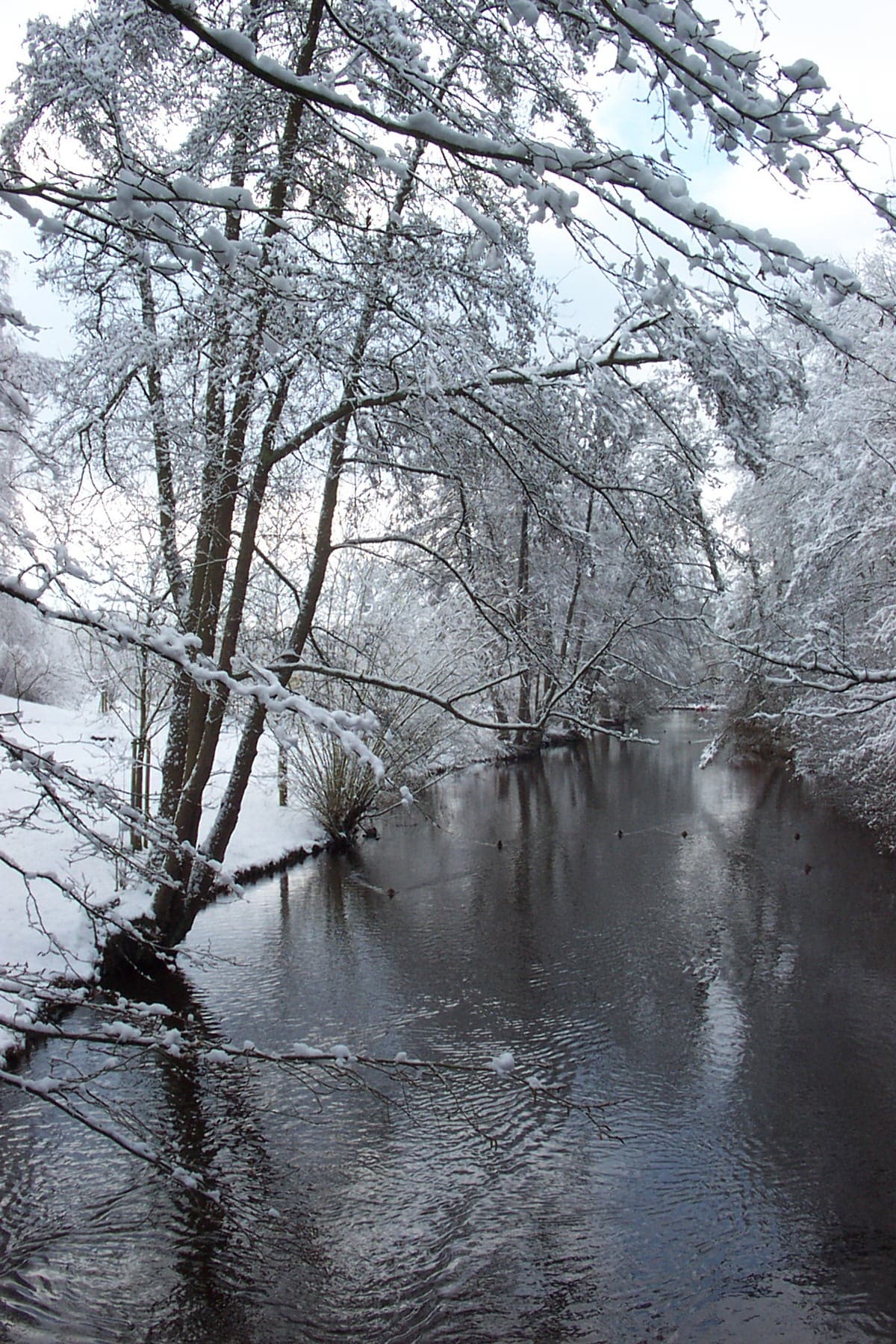 Ferienwohnung Kurparkblick, Wohnung "Sorgenfrei"***